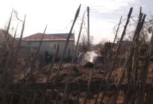Photo of Можно ли в феврале выжечь траву на дачном участке?