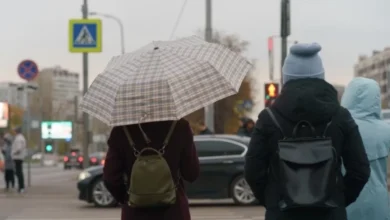 Photo of Май в пуховике. Метеоролог Позднякова: погода в Москве будет еще холоднее
