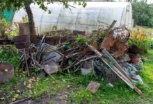 Photo of За мусор накажут рублем. 5 штрафов, которые можно получить на даче