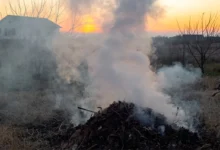 Photo of Соседи, подымим? Спасем вместе сад от заморозков