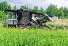 Photo of Порядок действий. Перечислены особенности страховки дач и садовых участков