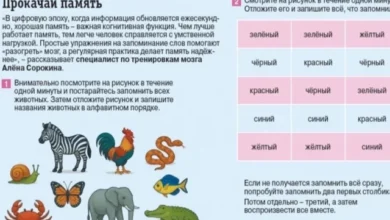 Photo of Какие простые и нескучные упражнения помогут быстро укрепить память?