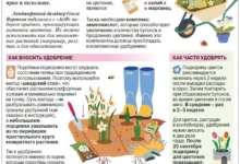 Photo of Чем удобрить клумбу для «взрывного» цветения?