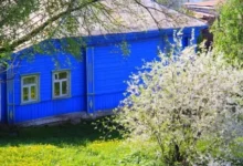 Photo of Могут ли изъять дачный участок, если на нем не убираться?