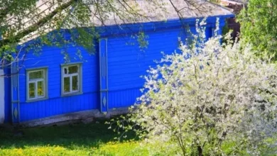 Photo of Могут ли изъять дачный участок, если на нем не убираться?