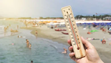 Photo of Спасения не будет! «Чёрная жара» прогреет воздух на курортах до +41°С