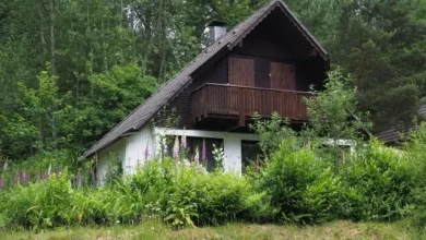 Photo of Нужно ли оформлять доли в общем имуществе СНТ и как это сделать?