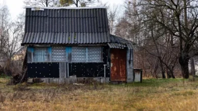 Photo of Какой дачный участок считается заброшенным?