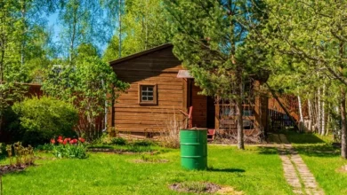 Photo of Стоит ли приобретать участок через отчуждение?