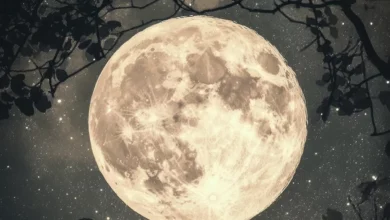 Photo of Лунный календарь садовода и огородника на июль 2025 года