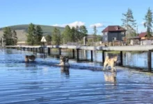 Photo of В Якутии за сутки 32 дворовые территории освободились от воды