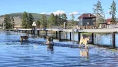 Photo of В Якутии за сутки 32 дворовые территории освободились от воды