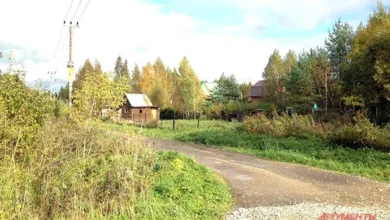 Photo of Дача, прощай. Адвокат Зуй: семь ситуаций, когда могут отнять дачный участок