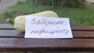 Photo of Топ-25 дачных анекдотов. Наступил сезон шуток про кабачки