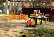 Photo of Разрешено ли продавать овощи со своего огорода?