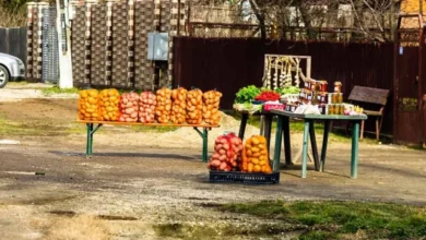 Photo of Разрешено ли продавать овощи со своего огорода?