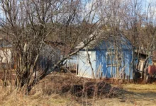 Photo of Сохрани свое. Три шага, которые обязан сделать каждый землевладелец