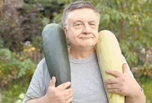 Photo of Вероятность дачного исхода. Садовод Туманов – о зиме, слизнях и счастье
