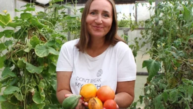 Photo of Лето продолжается. Убираем корнеплоды и готовимся к следующему сезону