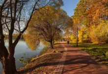 Photo of Осень атакует. Климатолог Тишков сказал, когда придёт настоящее бабье лето