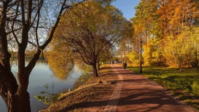 Photo of Осень атакует. Климатолог Тишков сказал, когда придёт настоящее бабье лето