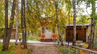Photo of Настоящий «колхоз». 5 главных антитрендов на даче в 2025 году