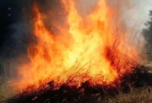 Photo of МЧС: площадь лесного пожара в Геленджике достигла 39 гектаров