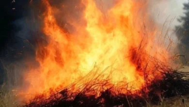 Photo of МЧС: площадь лесного пожара в Геленджике достигла 39 гектаров