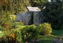 Photo of Лунный календарь садовода и огородника с 25 сентября по 11 октября