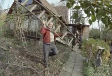 Photo of Плюс куча дел накануне минуса. Что нужно успеть на даче в середине осени
