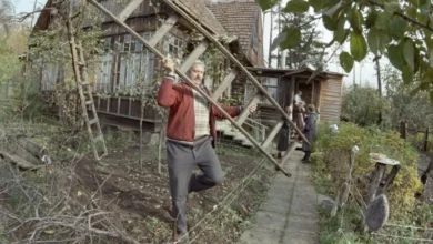 Photo of Плюс куча дел накануне минуса. Что нужно успеть на даче в середине осени