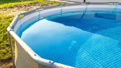 Photo of Купание красного себя. Во сколько обойдётся установка бассейна на даче