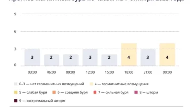 Photo of Прогноз магнитных бурь по часам на 7 октября 2025 года. Инфографика