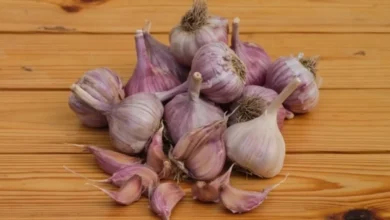 Photo of «Добрыня» не подводит. Сорт чеснока, что дает удивительно стабильный урожай