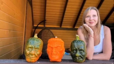 Photo of «Всё дело в формах». Как садовод Алина Романова растит уникальные тыквы