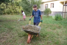 Photo of Успеть до зимы: 7 важных дел на даче