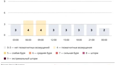Photo of Прогноз магнитных бурь по часам на 4 октября 2025 года. Инфографика