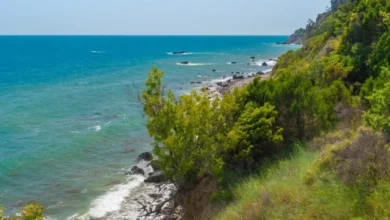 Photo of Что за заповедник «Мыс Мартьян»?