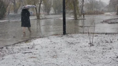 Photo of Когда в Москве выпадет снег?