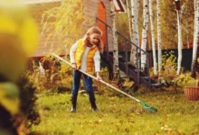 Photo of Лунный календарь садовода и огородника с 27 октября по 12 ноября