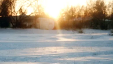 Photo of Когда день зимнего солнцестояния в 2025 году?