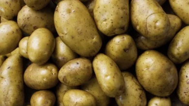 Photo of Клубни опасности. Как хранить картошку, чтобы не отравиться?