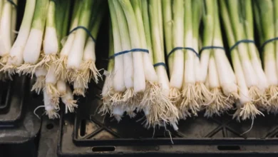 Photo of Идеальная закуска. Садовод Туманов рассказал, зачем выращивать лук-батун