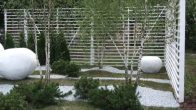 Photo of Сад в тренде. Делаем дачу уютной и модной