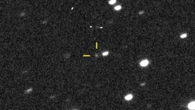 Photo of Комета или НЛО. Межзвёздный объект 3I/ATLAS летит к Земле. Прямая трансляция