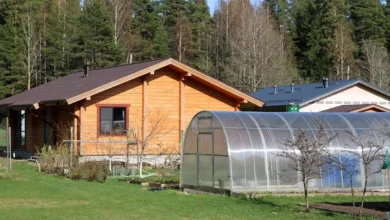 Photo of Весна без забот. Как подготовить огород к новому дачному сезону