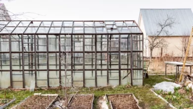 Photo of Зима на пороге. Что нужно сделать в теплице до конца ноября и в декабре