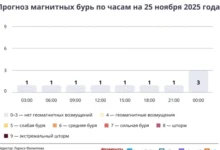 Photo of Прогноз магнитных бурь по часам на 25 ноября 2025 года. Инфографика