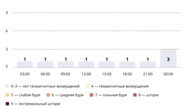 Photo of Прогноз магнитных бурь по часам на 25 ноября 2025 года. Инфографика