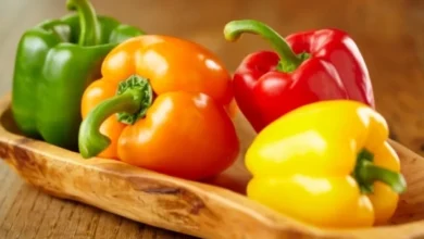 Photo of Крутые перцы. Топ-5 сортов, которые подойдут даже новичкам
